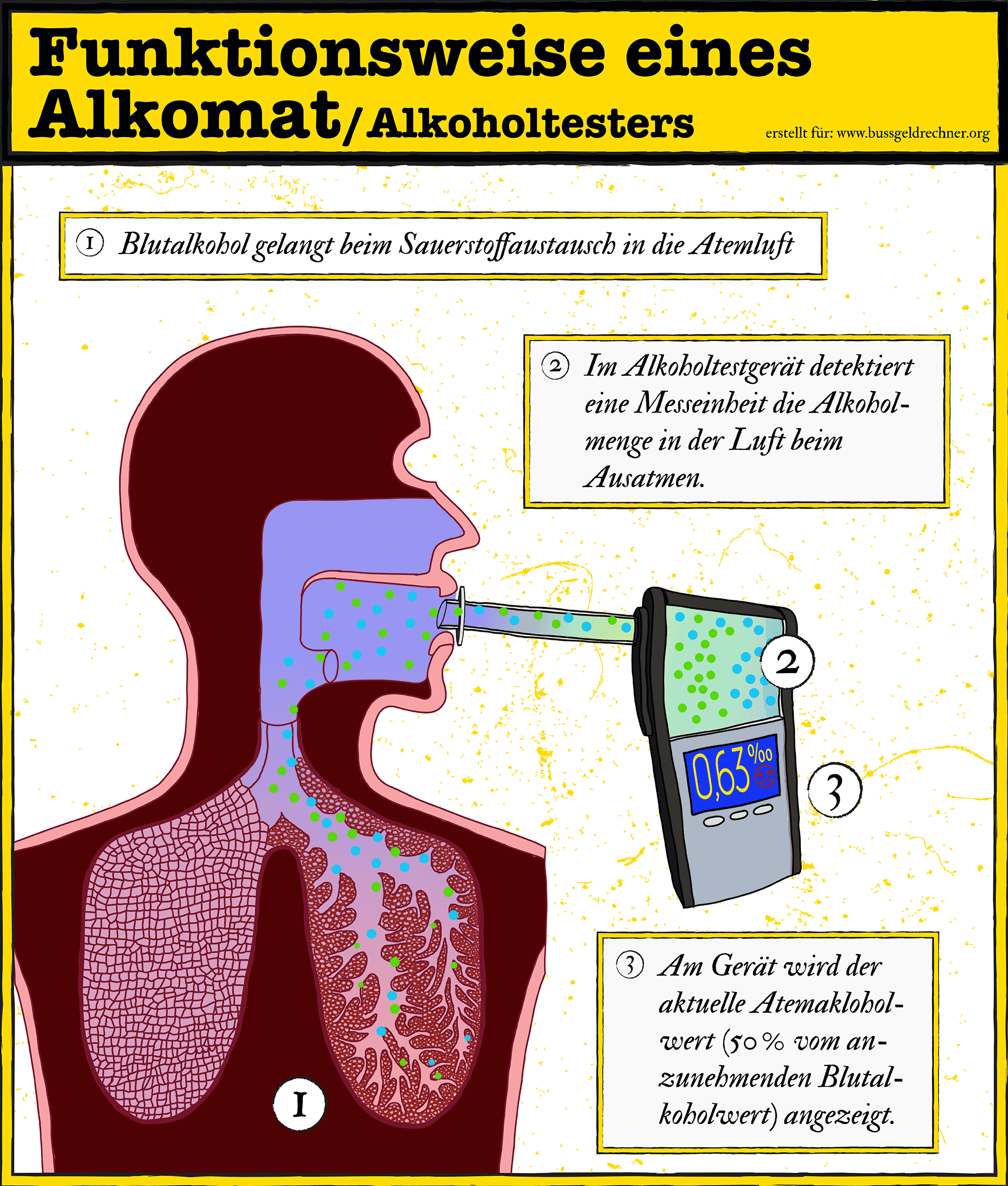 Alkoholtests: Produktvergleich