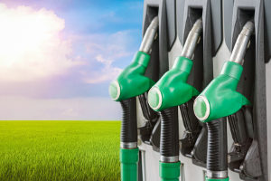 Reiner Biodiesel wird nur noch an wenigen deutschen Tankstellen angeboten.