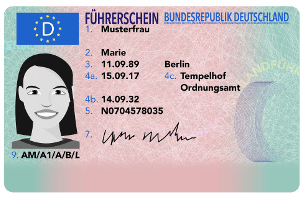 führerschein kaufen