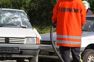 Die für die Rettung entstehenden Kosten können auch dem Betroffenen auferlegt werden.