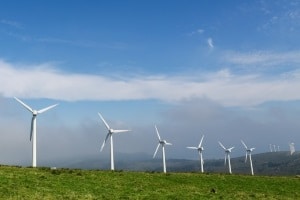 Informieren Sie sich vor Ihrem Urlaub über die Verkehrsregeln in Dänemark.